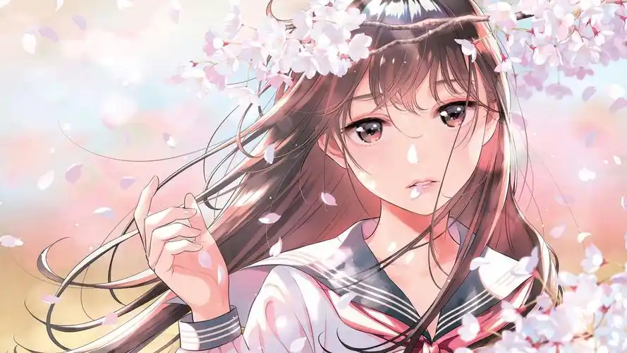 风车动漫在线播放 banner 背景